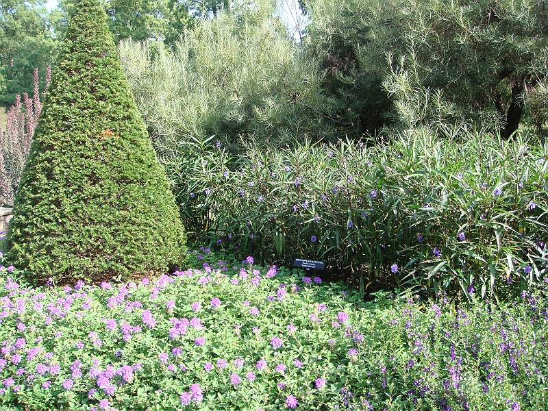 159 Longwood Gardens [2008 August 23].JPG - Longwood Gardens in Pennsylvania